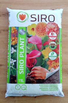 SIRO Plant 11L