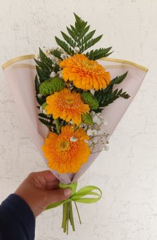 Arranjo com Plantas Naturais (Gerberas)