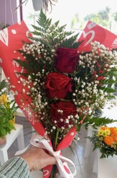 Mini Ramo com Plantas Naturais